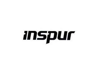 INSPUR logo