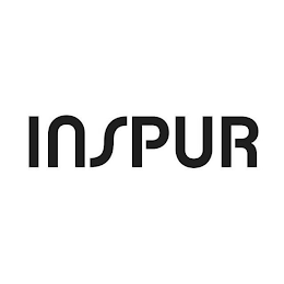 INSPUR logo