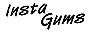 INSTA GUMS logo