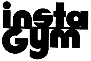 INSTA GYM logo