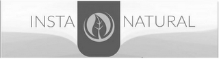 INSTA NATURAL logo