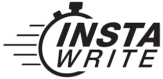 INSTA WRITE logo