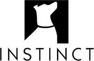 INSTINCT logo