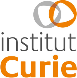 INSTITUT CURIE logo