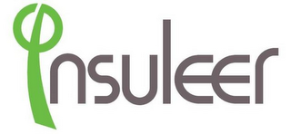 INSULEER logo