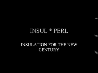 INSUL*PERL INSULATION FOR THE NEW CENTURY logo