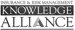 INSURANCE & RISK MANAGEMENT KNOWLEDGE ALLIANCE logo