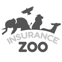 INSURANCE ZOO