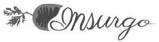 INSURGO logo