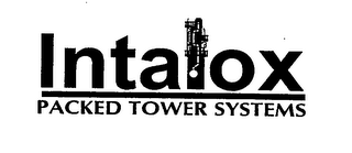 INTALOX PACKED TOWER SYSTEMS logo