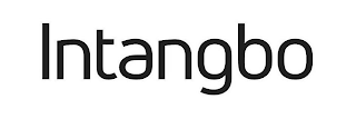 INTANGBO logo