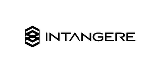 INTANGERE logo