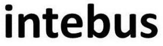 INTEBUS logo