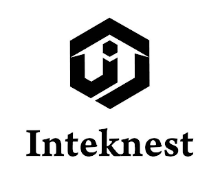 INTEKNEST logo