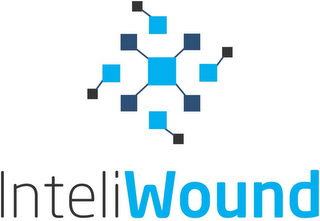 INTELIWOUND logo