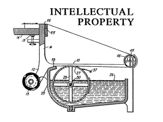 INTELLECTUAL PROPERTY logo