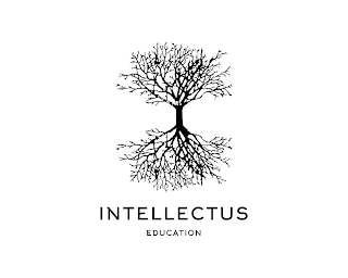 INTELLECTUS EDUCATION logo
