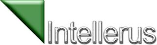 INTELLERUS logo