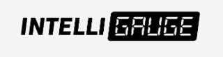 INTELLI GAUGE logo