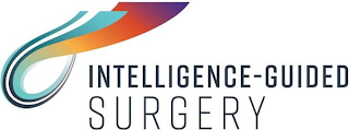 INTELLIGENCE-GUIDED SURGERY logo