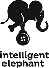 INTELLIGENT ELEPHANT