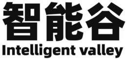 INTELLIGENT VALLEY logo