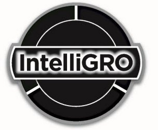 INTELLIGRO logo