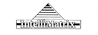 INTELLIMATRIX logo