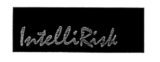 INTELLIRISK logo