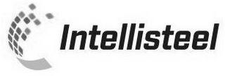 INTELLISTEEL logo