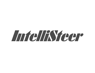 INTELLISTEER logo
