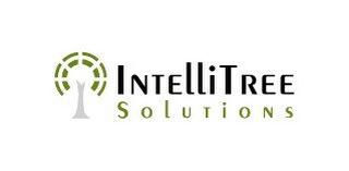 INTELLITREE SOLUTIONS logo