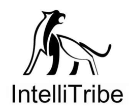 INTELLITRIBE logo