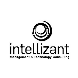 INTELLIZANT MANAGEMENT & TECHNOLOGY CONSULTING logo
