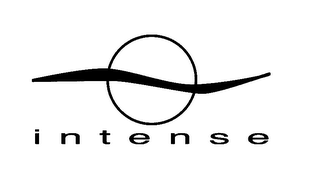 INTENSE logo