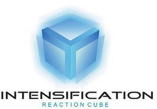 INTENSIFICATION REACTION CUBE logo