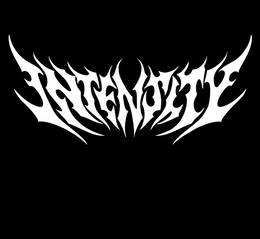 INTENSITY logo