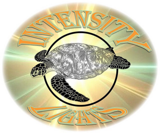 INTENSITY LIGHTS logo