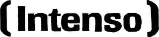 (INTENSO) logo