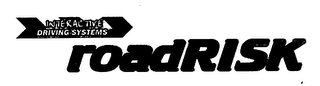 INTERACTIVE DRIVING SYSTEMS ROADRISK logo