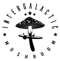 INTERGALACTIC MUSHROOM logo
