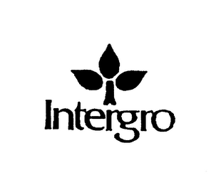 INTERGRO logo