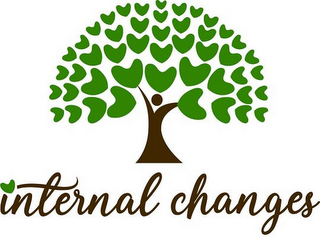 INTERNAL CHANGES logo