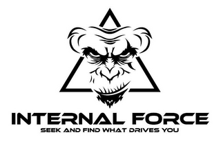 INTERNAL FORCE SEEK AND FIND WHAT DRIVES YOU logo