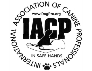 INTERNATIONAL ASSOCIATION OF CANINE PROFESSIONALS IACP DOGPRO.ORG IN SAFE HANDS logo