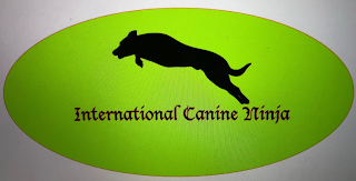 INTERNATIONAL CANINE NINJA logo