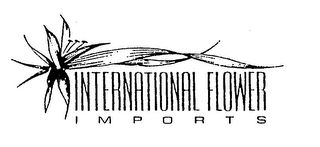 INTERNATIONAL FLOWER IMPORTS logo