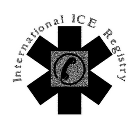 INTERNATIONAL ICE REGISTRY logo