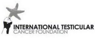 INTERNATIONAL TESTICULAR CANCER FOUNDATION logo