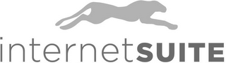 INTERNETSUITE logo